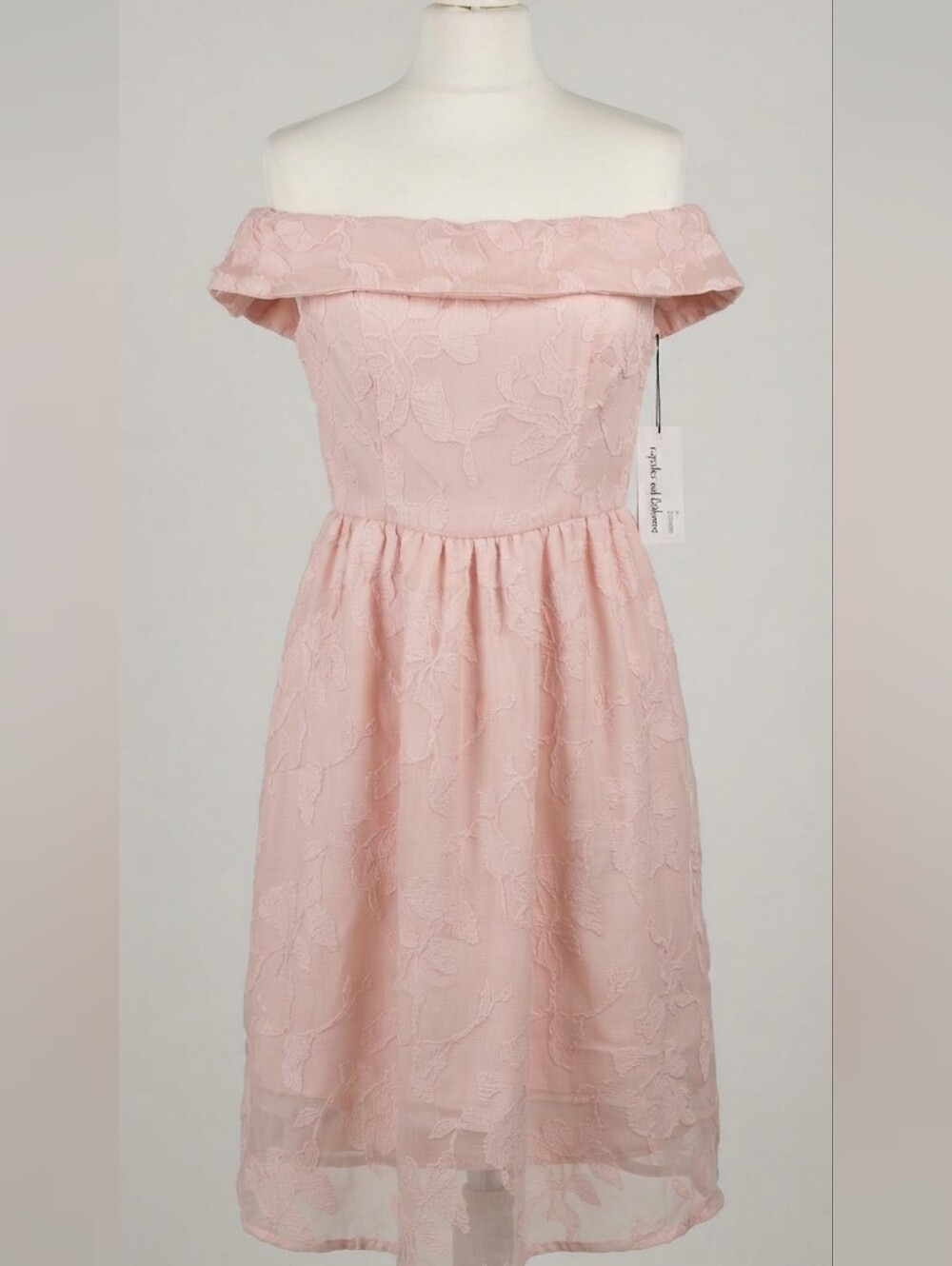 Blush Pink Cupcakes and Cashmere lace dress
